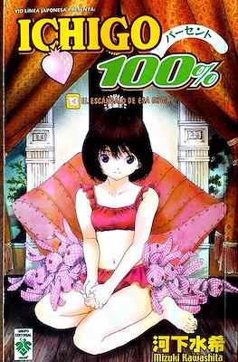 Ichigo 100% (Rústica) #13