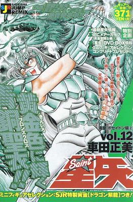 聖闘士星矢 (Saint Seiya Shueisha Remix) (Edición 2002-2004) #12