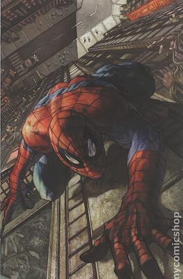The Amazing Spider-Man Vol. 7 (2025-Variant Covers) #12.5