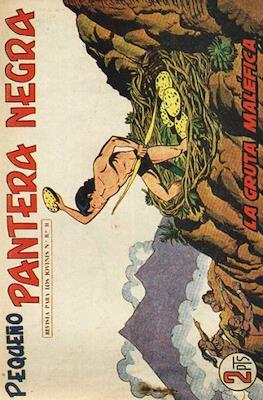 Pantera Negra / Pequeño Pantera Negra #211