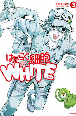 はたらく細胞! White (Hataraku Saibō! White) #3