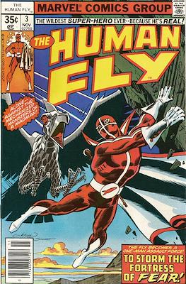 The Human Fly #3