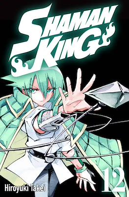 Shaman King #12