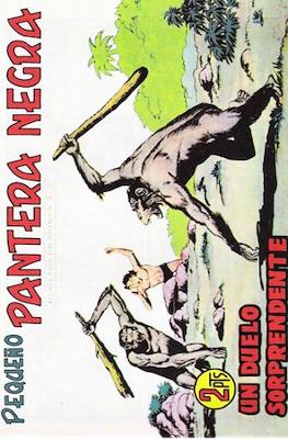 Pantera Negra / Pequeño Pantera Negra #293