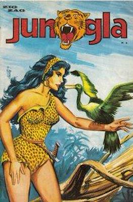 Jungla #41