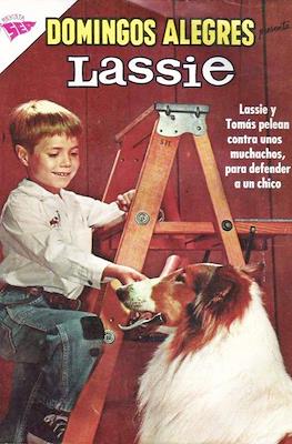 Domingos Alegres #483