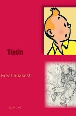 Tintin Characters Series