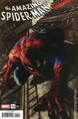 The Amazing Spider-Man Vol. 7 (2025-Variant Covers) #12.3