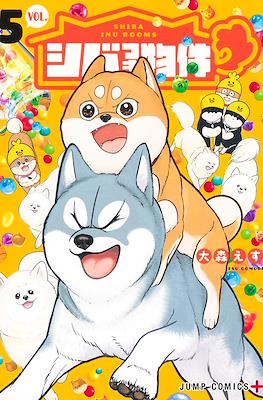 シバつき物件 (Shibatsuki Bukken / Shiba Inu Rooms) #5