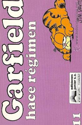 Garfield (Rústica) #11