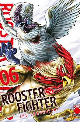 Rooster Fighter #6