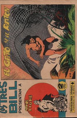 Sahib Tigre #43