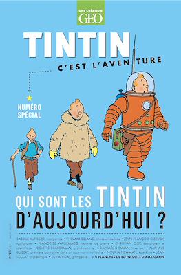 Tintin C'est l'aventure #25