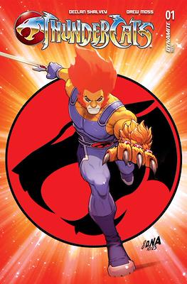 ThunderCats (2024 - Variant Cover) #1.24