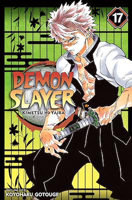 Demon Slayer: Kimetsu no Yaiba #17