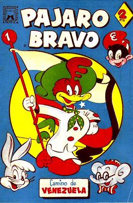 Pajaro Bravo #1