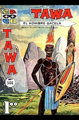 Tawa, El Hombre Gacela #566
