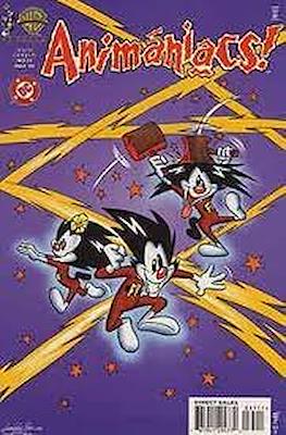 Animaniacs #35