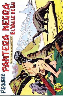 Pantera Negra / Pequeño Pantera Negra #175