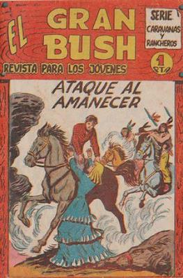 El gran Bush #26