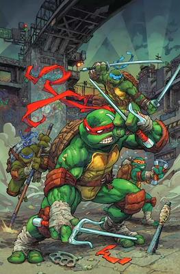 Teenage Mutant Ninja Turtles (2024- Variant Cover) #1.17
