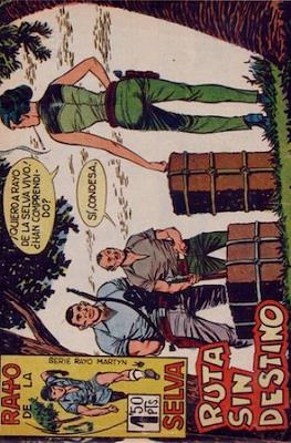 Rayo de la selva #24