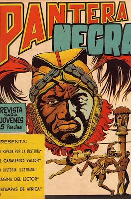 Pantera Negra #2