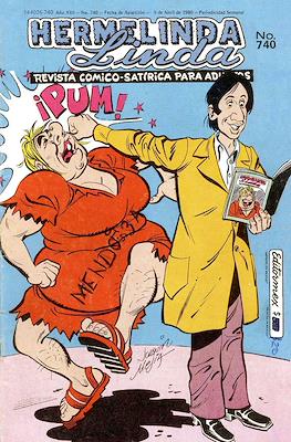 Brujerías / Hermelinda Linda (Grapa 36 pp) #740