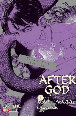 After God (Rústica) #3