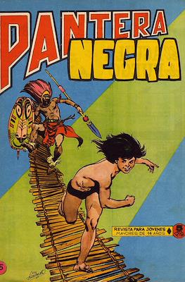 Pantera Negra #35