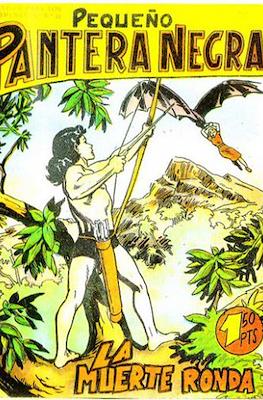 Pantera Negra / Pequeño Pantera Negra #115