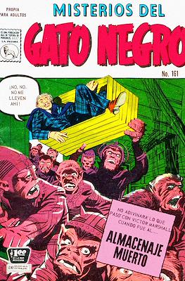 Misterios del gato negro #161
