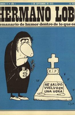 Hermano Lobo #17