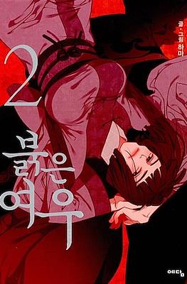 붉은 여우 (Red Fox) #2