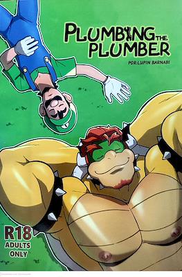Plumbing the plumber