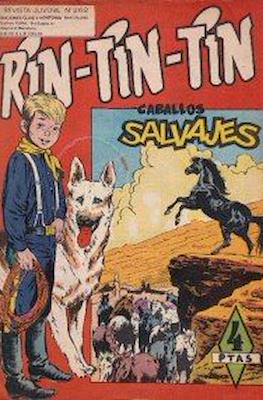 Rin-tin-tin / Davy y su fiel Roy #262