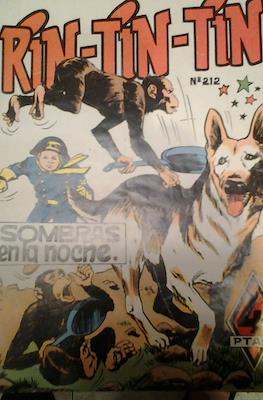 Rin-tin-tin / Davy y su fiel Roy #212