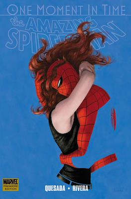The Amazing Spider-Man: One Moment in Time