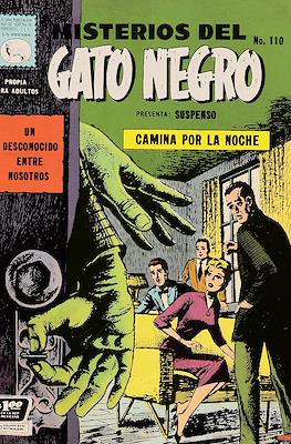 Misterios del gato negro #110