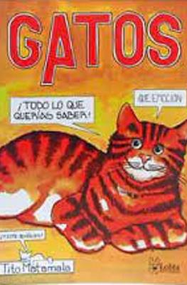 Gatos ¡Todo lo que Querías Saber!