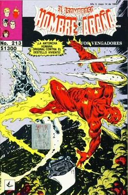 El Asombroso Hombre Araña presenta #213