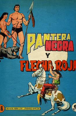 Pantera Negra y Flecha Roja #66
