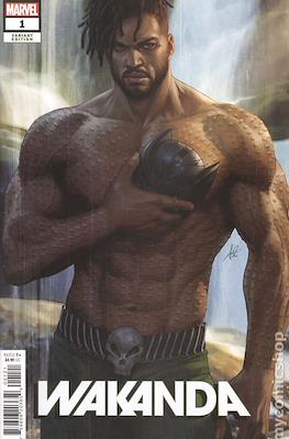 Wakanda Vol.1 (2022-Variant Covers)
