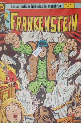Frankenstein #12