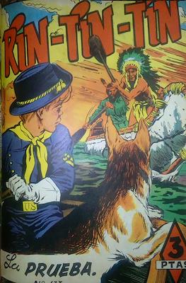 Rin-tin-tin / Davy y su fiel Roy #173