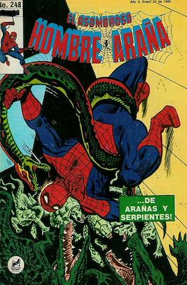 El Asombroso Hombre Araña #248