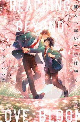 彼方へ届いて恋は咲く Reaching Beyond Love Bloom (Kanata e Todoite Koi wa Saku)