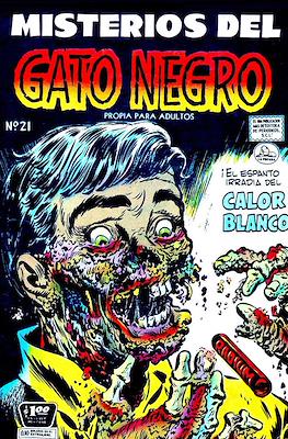 Misterios del gato negro #21