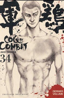 Coq de combat #34