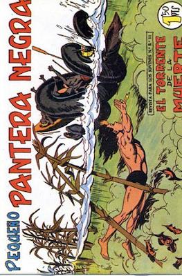 Pantera Negra / Pequeño Pantera Negra #144